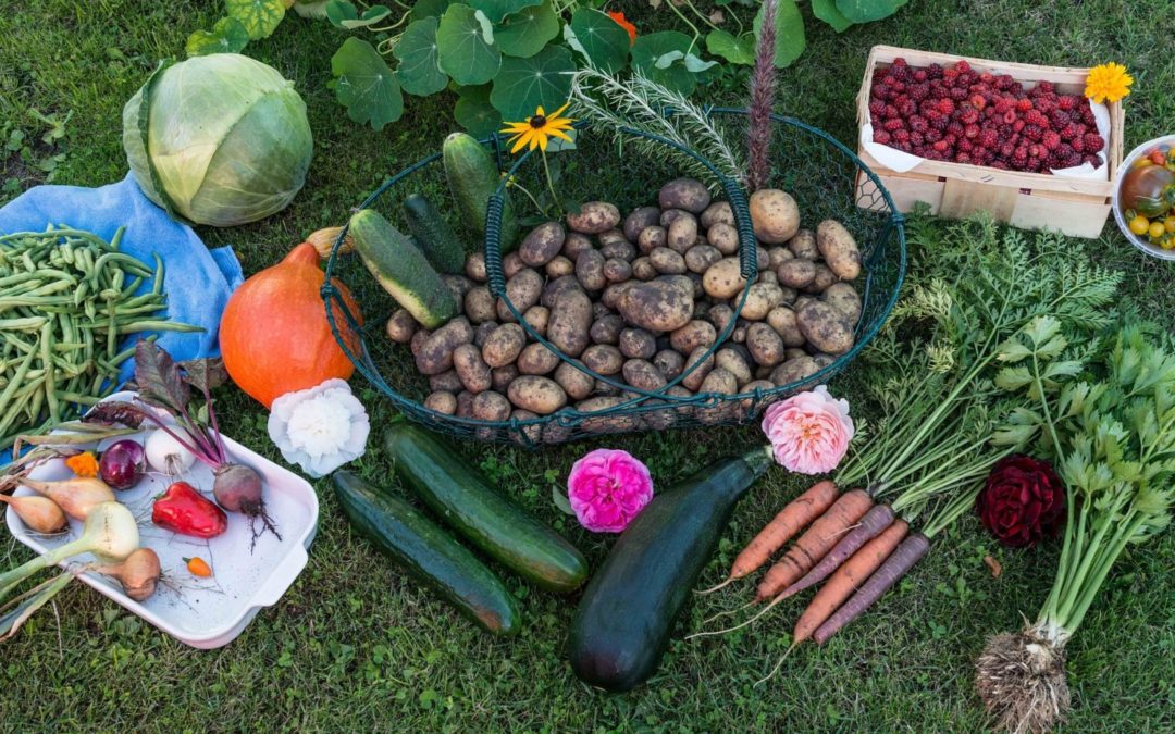 Agence Jardinière Locale : retour sur un premier semestre chargé en activités…