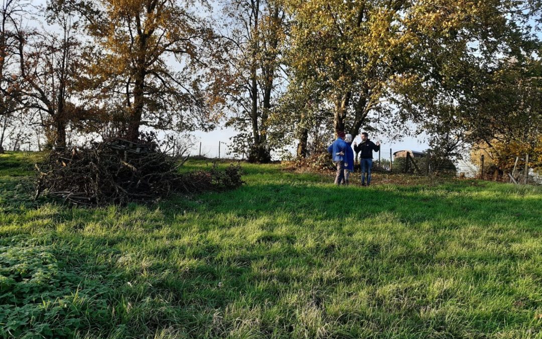 Offres et demandes de jardins