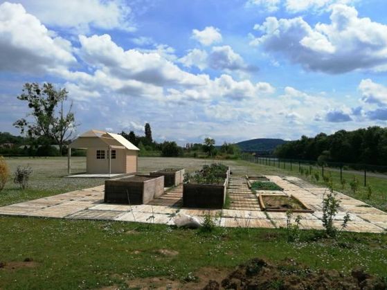 Potager partagé du bord de Meuse