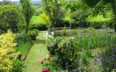 Avoir accès à un jardin, quelle chance !