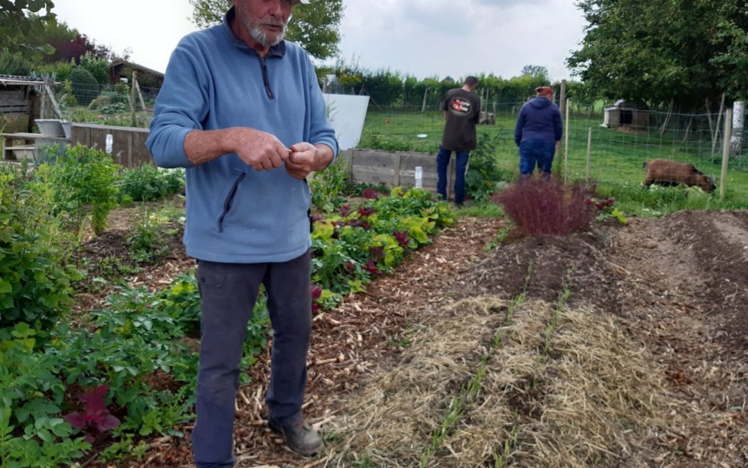 potager collectif Cortil Wodon