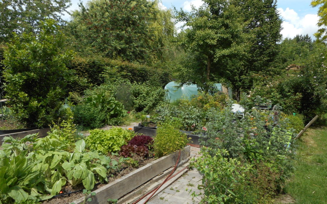 Potager Mare-Bénédicte