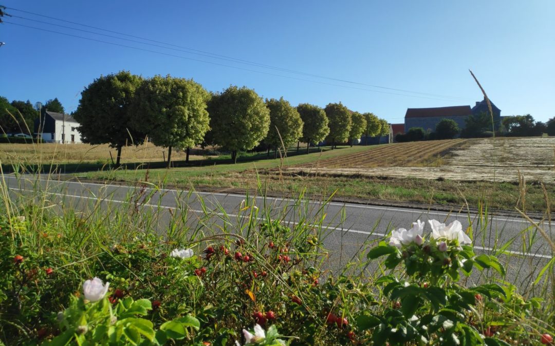 Un deux roues s’il vous plaît – Du Condroz jusqu’à la Hesbaye : 3 communes, plusieurs paysages, plusieurs visages