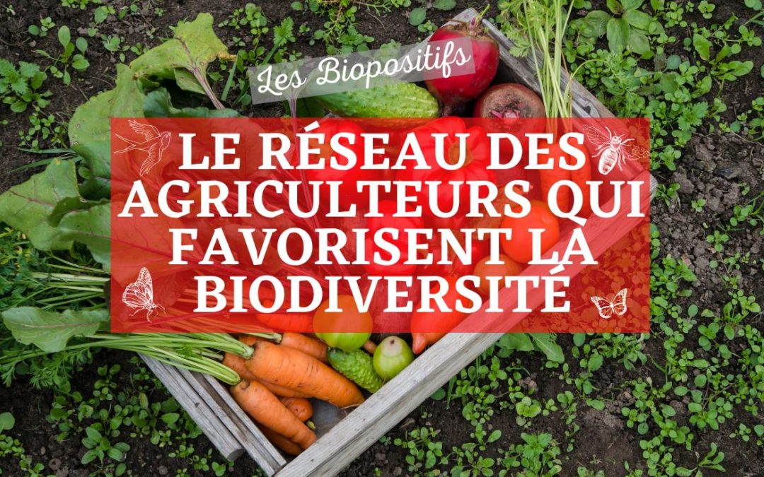 Le Réseau des Biopositifs