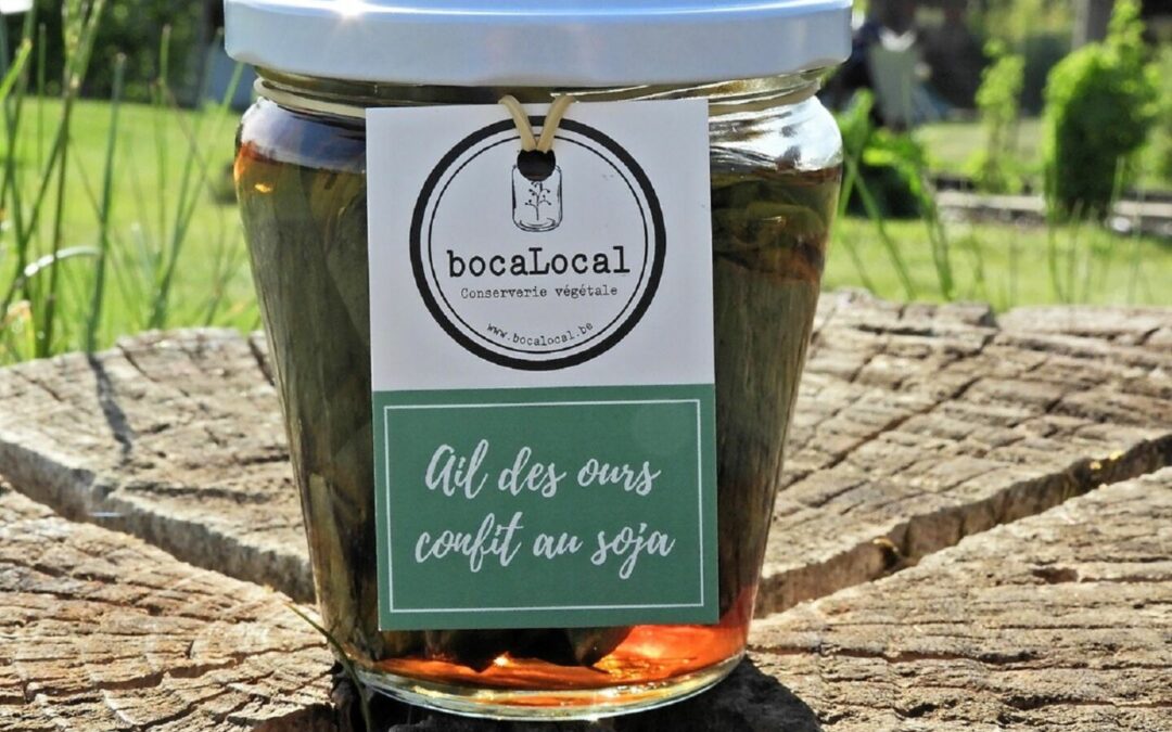 BocaLocal