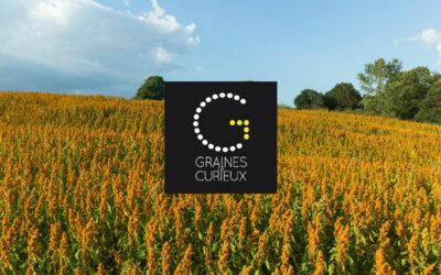 Graine de curieux