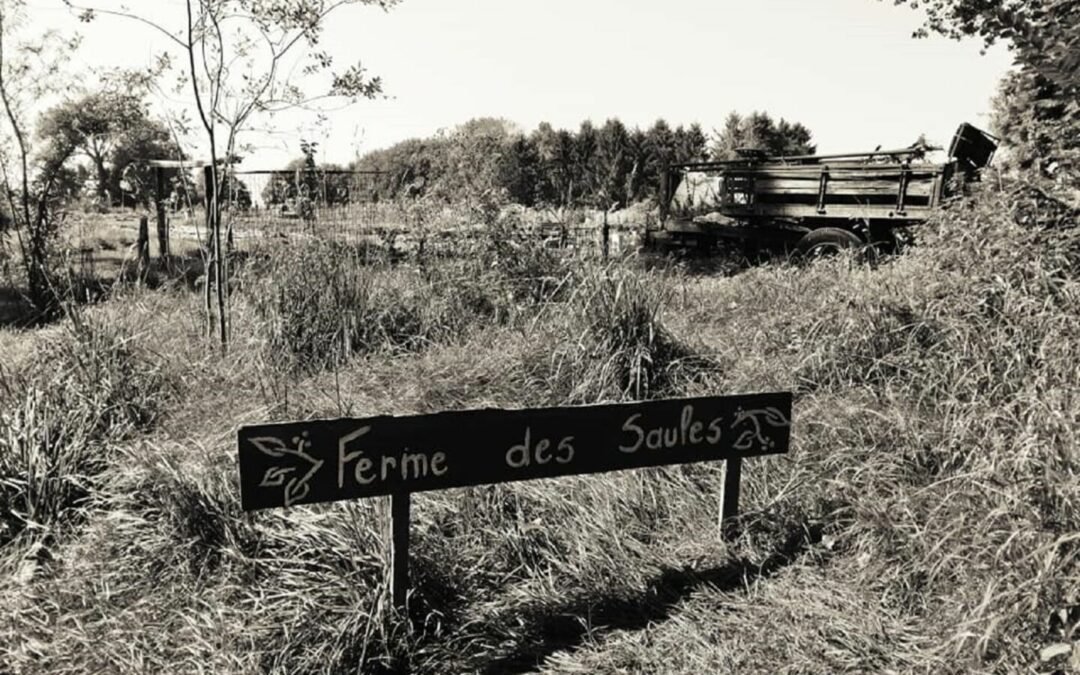 La Ferme des Saules