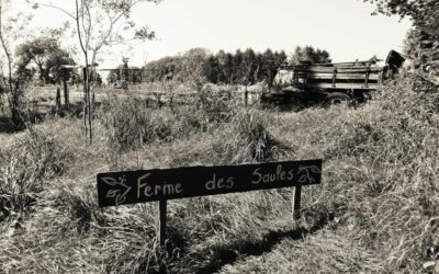 La Ferme des Saules