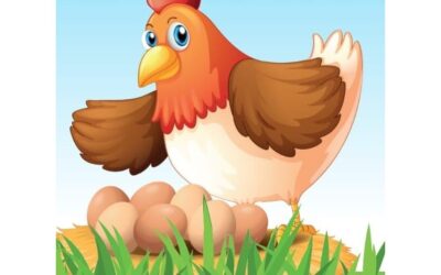 Ferme du P’tit Mayeur – Les oeufs de Martin