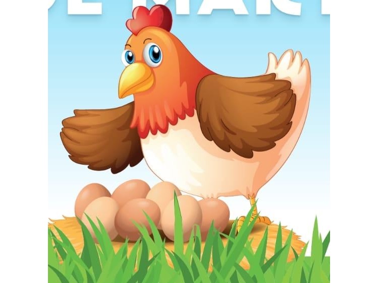 Ferme du P’tit Mayeur – Les oeufs de Martin